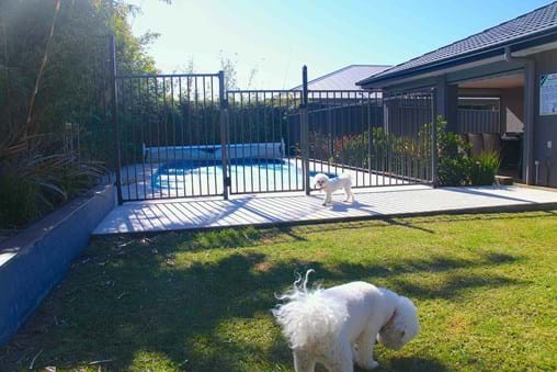 Landscape design for new contemporary backyard garden in Port Stephens NSW